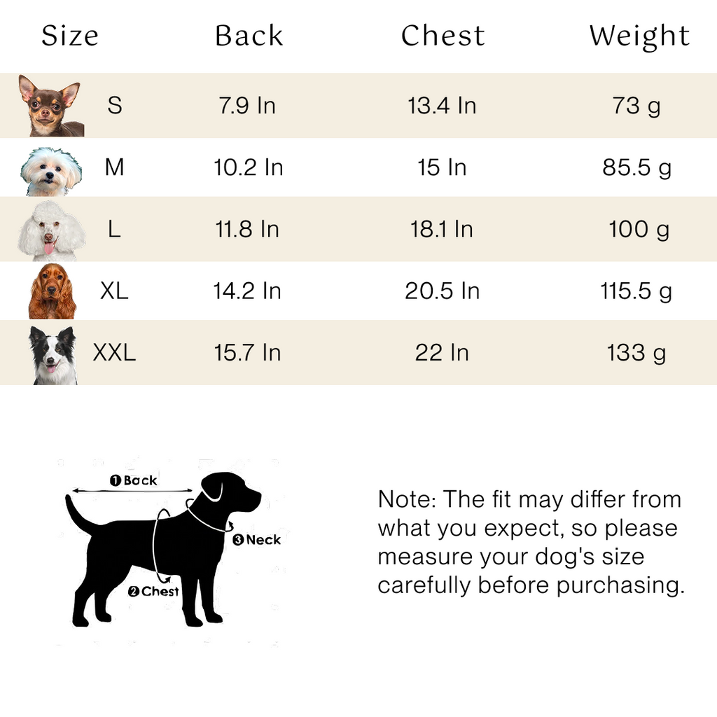 Bello - Windbreaker (Gray)